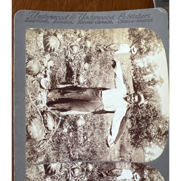 Stereocard 1897 Black Americana Farmer Humor Stereoview Card - Picture 4 of 5